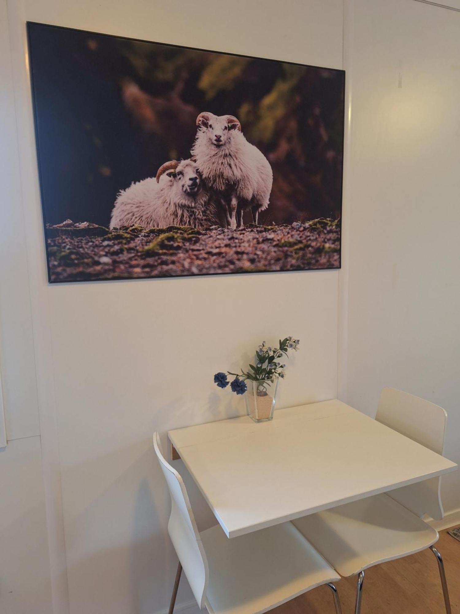 Kjosahreppur Solvellir Holiday Home מראה חיצוני תמונה